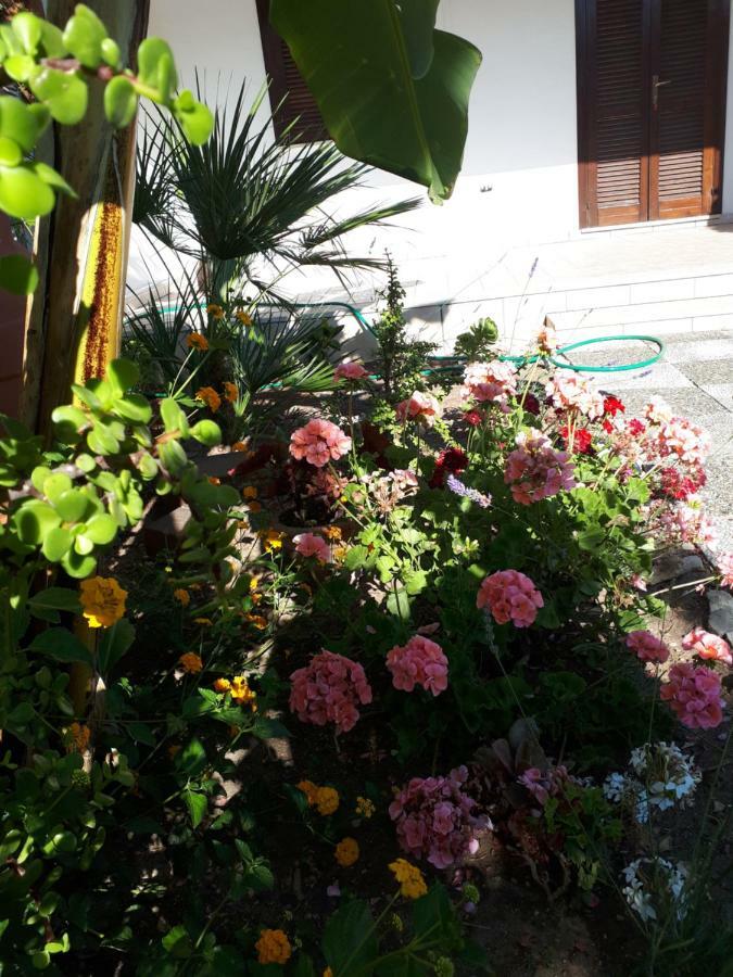 Villetta Lucia ตอร์เรเดลลอร์โซ ภายนอก รูปภาพ